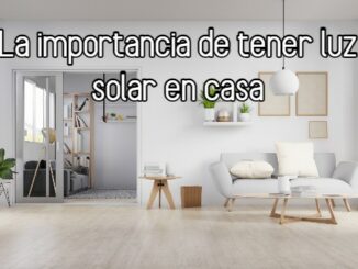 La importancia de tener luz solar en casa